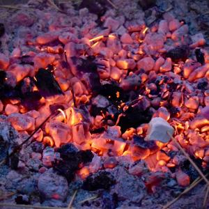 Toasting marshmallows over red coals near outdoor Ice Hockey Pond 